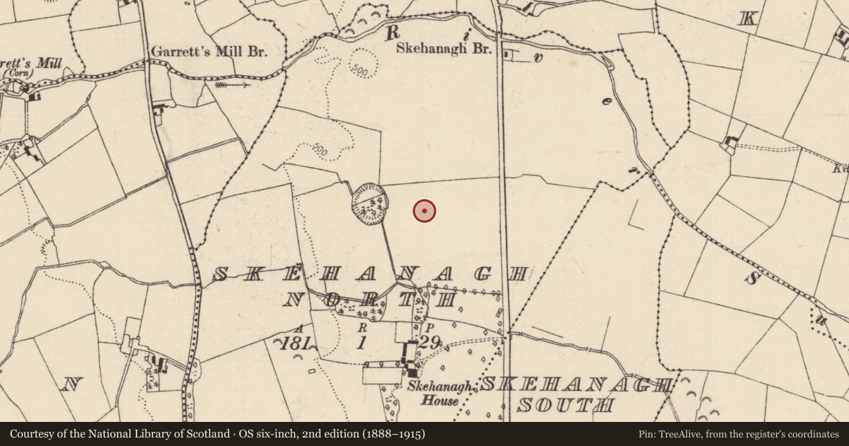 Ordnance Survey six-inch map, 2nd edition (1888–1915) covering the location of Standing stone, Skehanagh North, County Tipperary North, with a pin at the register's coordinates