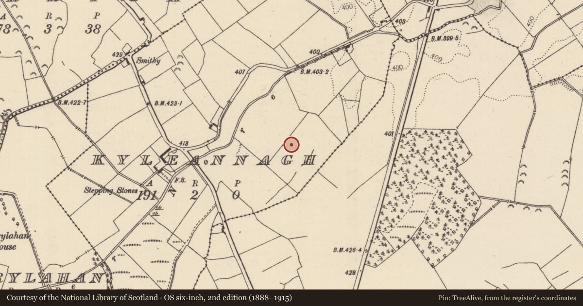 Ordnance Survey six-inch map, 2nd edition (1888–1915) covering the location of Enclosure - large enclosure, Kyleannagh, County Tipperary North, with a pin at the register's coordinates