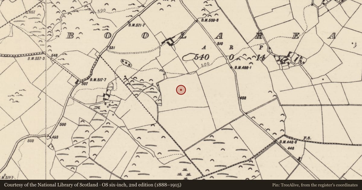 Ordnance Survey six-inch map, 2nd edition (1888–1915) covering the location of Souterrain, Boolareagh, County Tipperary North, with a pin at the register's coordinates