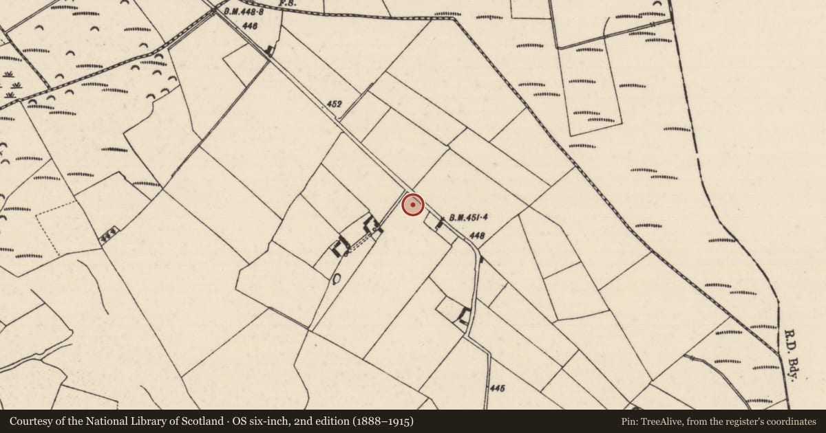 Ordnance Survey six-inch map, 2nd edition (1888–1915) covering the location of Souterrain, Cullahill (Bourney Par.), County Tipperary North, with a pin at the register's coordinates