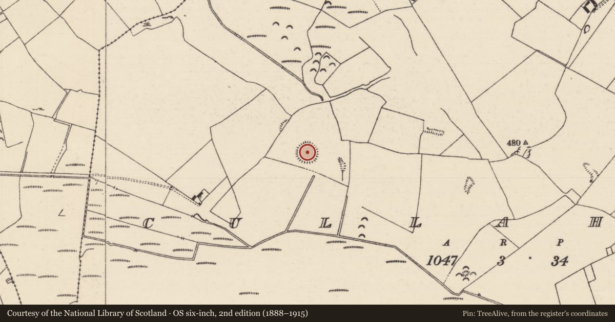 Ordnance Survey six-inch map, 2nd edition (1888–1915) covering the location of Enclosure, Cullahill (Bourney Par.), County Tipperary North, with a pin at the register's coordinates