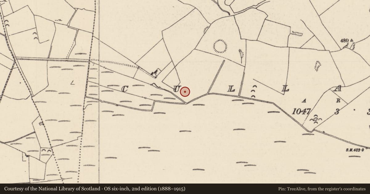 Ordnance Survey six-inch map, 2nd edition (1888–1915) covering the location of Barrow - ring-barrow, Cullahill (Bourney Par.), County Tipperary North, with a pin at the register's coordinates