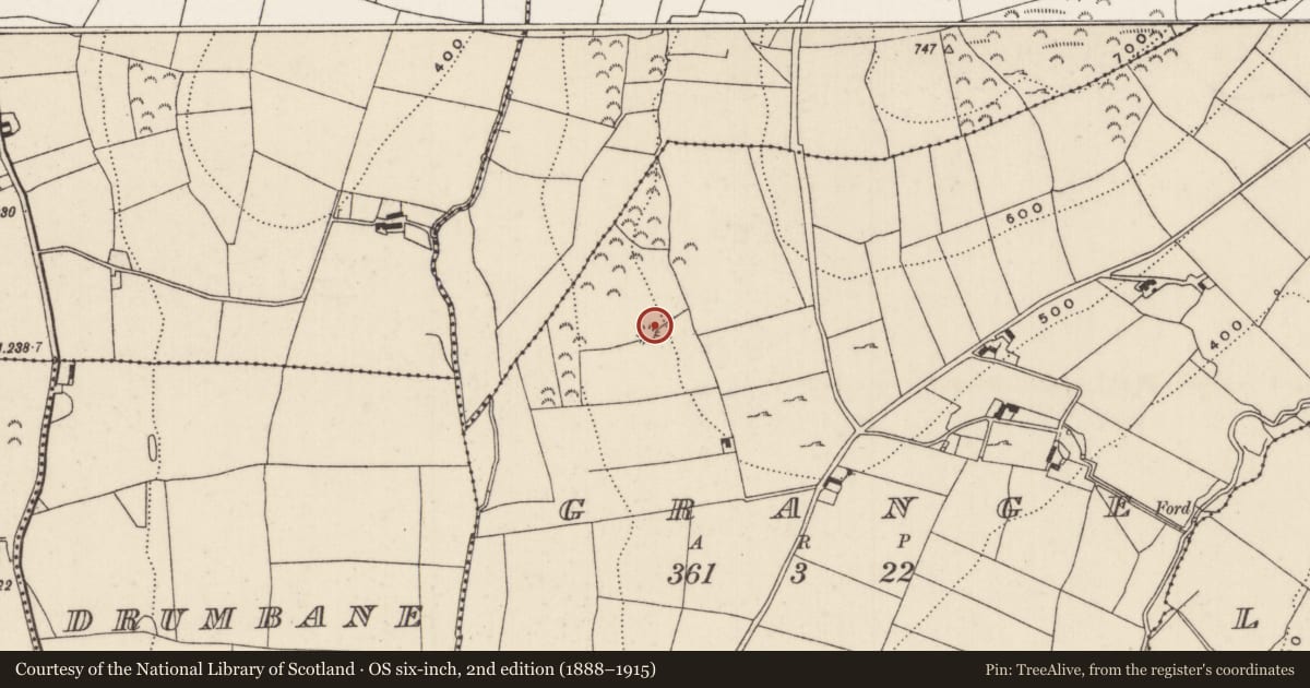 Ordnance Survey six-inch map, 2nd edition (1888–1915) covering the location of Enclosure, Grange (Templeachally Par.), County Tipperary North, with a pin at the register's coordinates