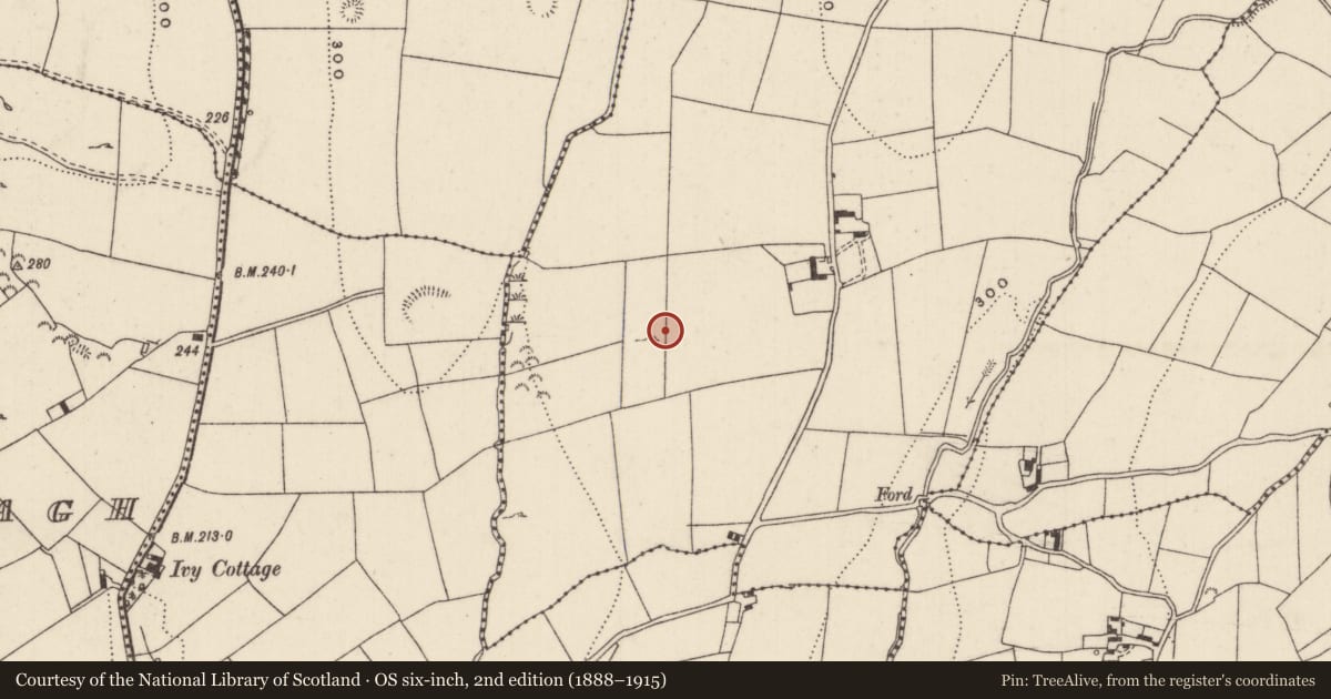 Ordnance Survey six-inch map, 2nd edition (1888–1915) covering the location of Standing stone, Grange (Templeachally Par.), County Tipperary North, with a pin at the register's coordinates