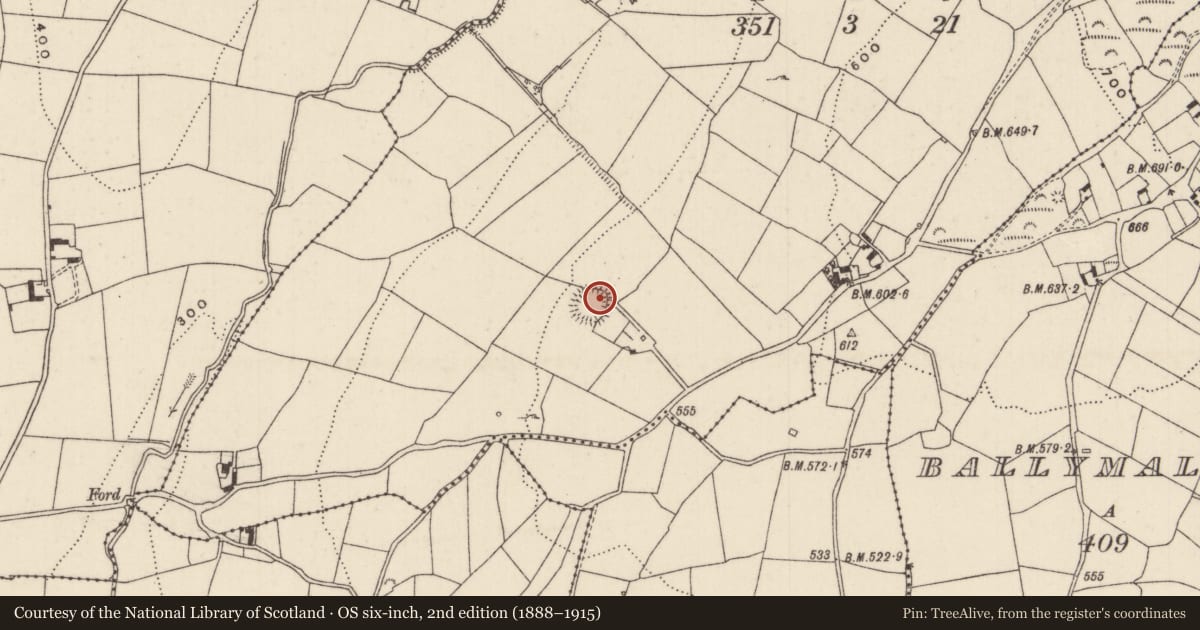 Ordnance Survey six-inch map, 2nd edition (1888–1915) covering the location of Ringfort - rath, Leagane, County Tipperary North, with a pin at the register's coordinates