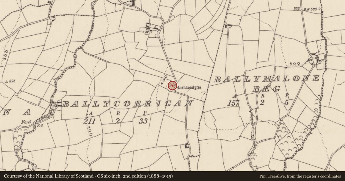 Ordnance Survey six-inch map, 2nd edition (1888–1915) covering the location of Ringfort - rath, Ballycorrigan, County Tipperary North, with a pin at the register's coordinates