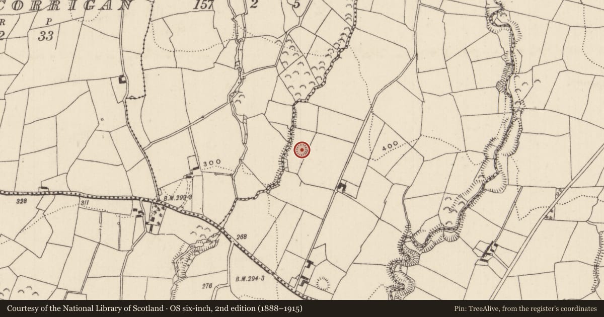 Ordnance Survey six-inch map, 2nd edition (1888–1915) covering the location of Enclosure, Ballymalone More, County Tipperary North, with a pin at the register's coordinates