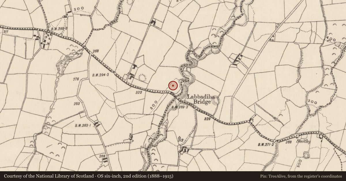 Ordnance Survey six-inch map, 2nd edition (1888–1915) covering the location of Souterrain, Ballymalone More, County Tipperary North, with a pin at the register's coordinates