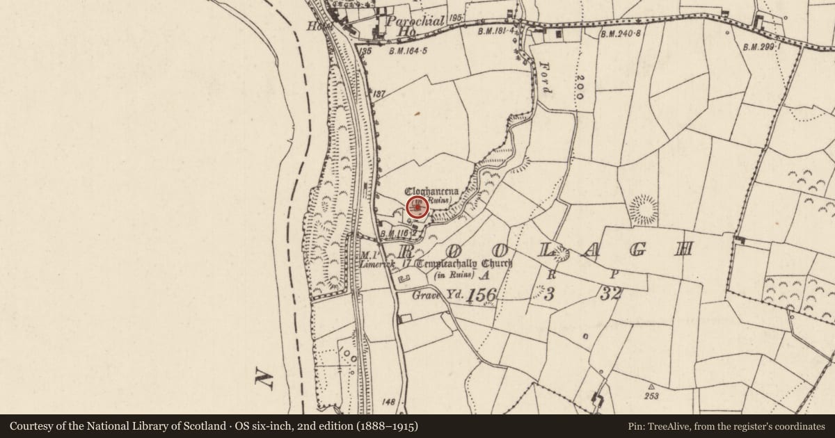 Ordnance Survey six-inch map, 2nd edition (1888–1915) covering the location of Castle - hall-house, Ballina, County Tipperary North, with a pin at the register's coordinates