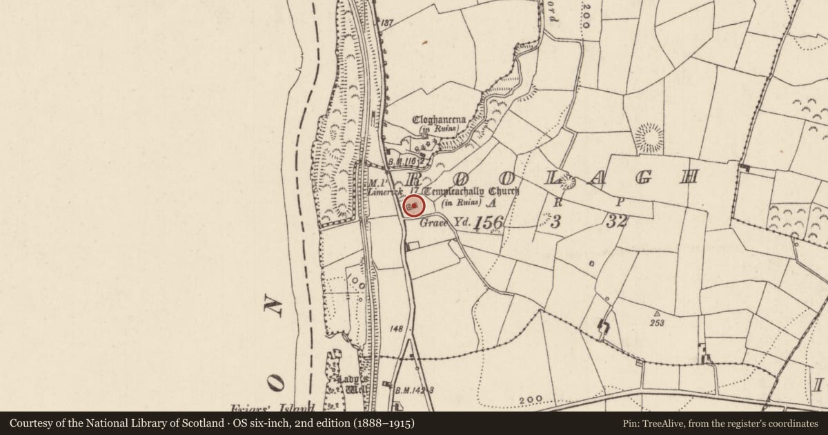 Ordnance Survey six-inch map, 2nd edition (1888–1915) covering the location of Church, Roolagh, County Tipperary North, with a pin at the register's coordinates
