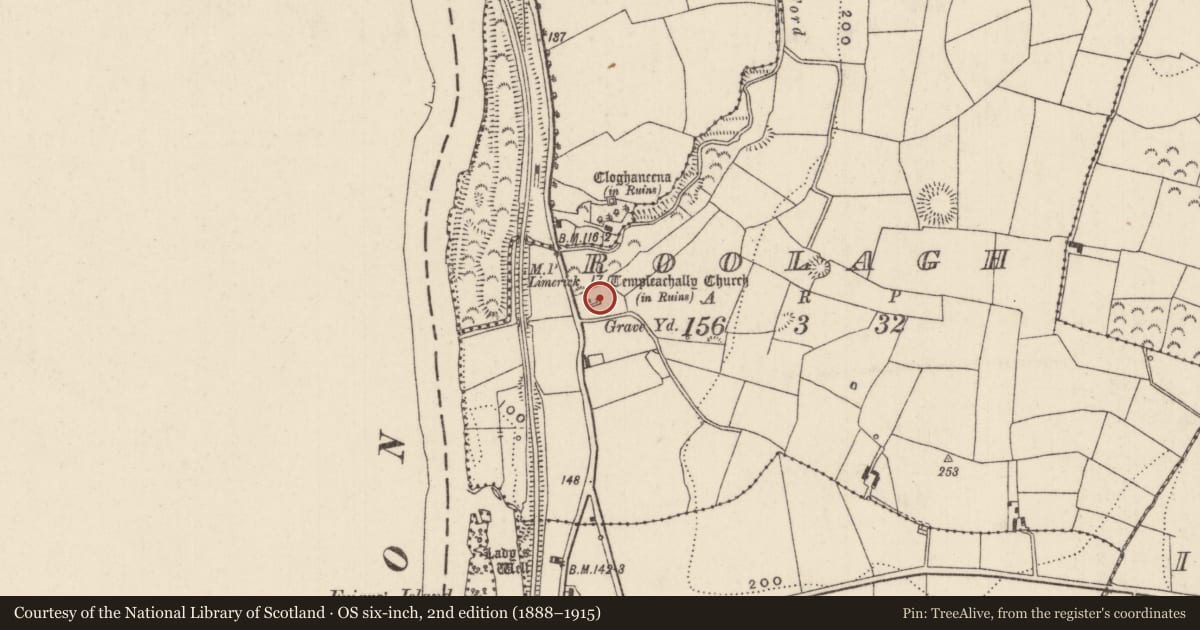 Ordnance Survey six-inch map, 2nd edition (1888–1915) covering the location of Graveyard, Roolagh, County Tipperary North, with a pin at the register's coordinates