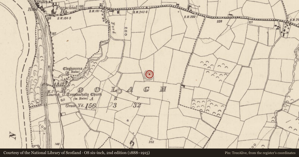 Ordnance Survey six-inch map, 2nd edition (1888–1915) covering the location of Ringfort - rath, Roolagh, County Tipperary North, with a pin at the register's coordinates