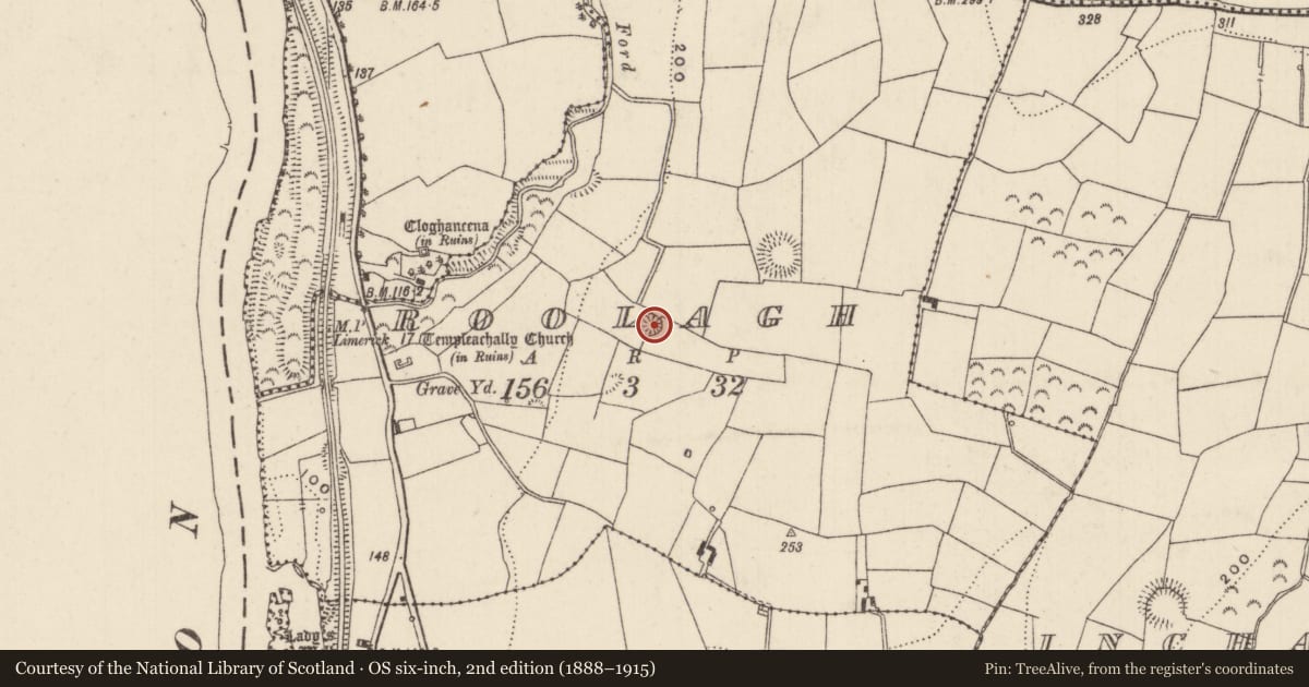 Ordnance Survey six-inch map, 2nd edition (1888–1915) covering the location of Ringfort - rath, Roolagh, County Tipperary North, with a pin at the register's coordinates
