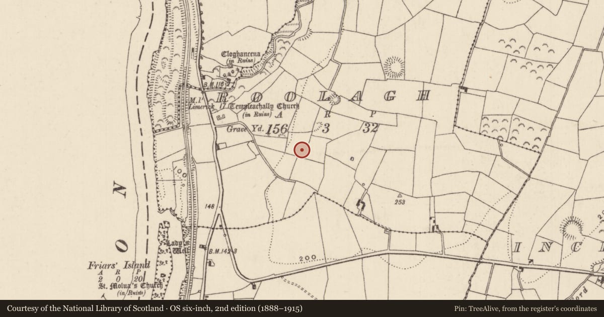 Ordnance Survey six-inch map, 2nd edition (1888–1915) covering the location of Standing stone, Roolagh, County Tipperary North, with a pin at the register's coordinates