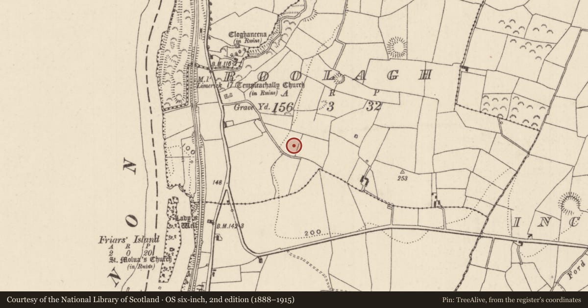 Ordnance Survey six-inch map, 2nd edition (1888–1915) covering the location of Standing stone, Roolagh, County Tipperary North, with a pin at the register's coordinates