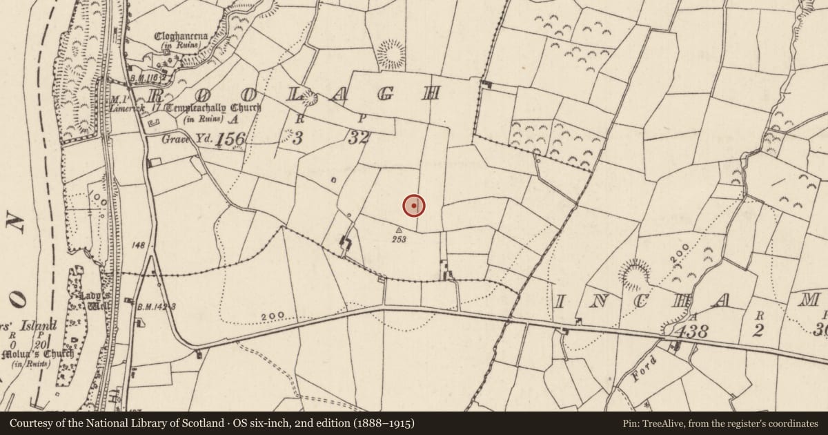 Ordnance Survey six-inch map, 2nd edition (1888–1915) covering the location of Ringfort - rath, Roolagh, County Tipperary North, with a pin at the register's coordinates