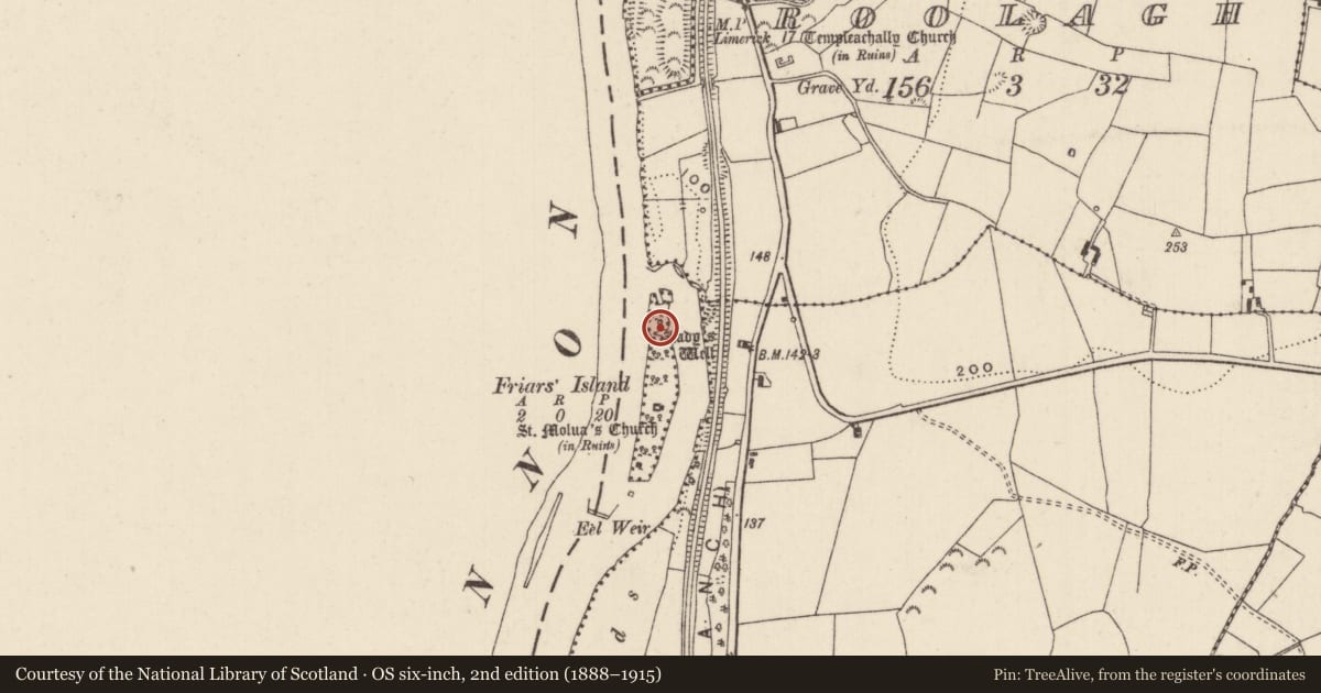 Ordnance Survey six-inch map, 2nd edition (1888–1915) covering the location of Ritual site - holy well, Friars Island, County Tipperary North, with a pin at the register's coordinates