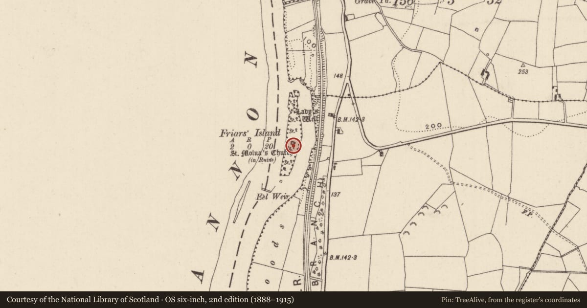 Ordnance Survey six-inch map, 2nd edition (1888–1915) covering the location of Church, Friars Island, County Tipperary North, with a pin at the register's coordinates