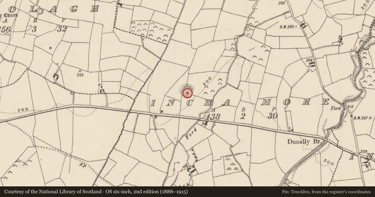 Ordnance Survey six-inch map, 2nd edition (1888–1915) covering the location of Ringfort - rath, Incha More, County Tipperary North, with a pin at the register's coordinates
