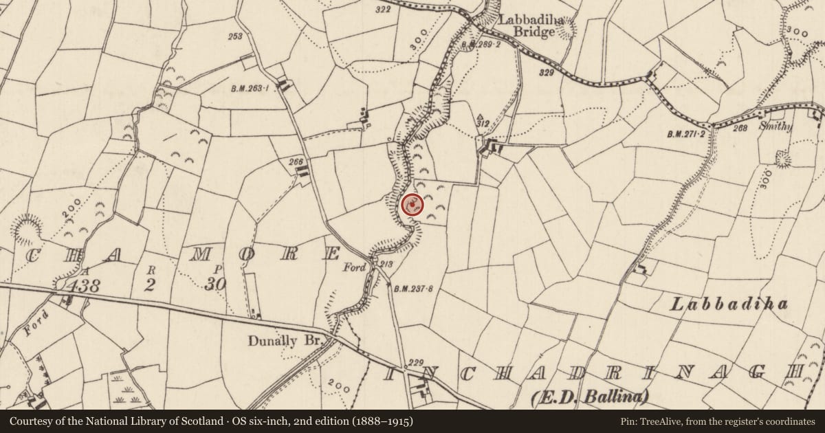 Ordnance Survey six-inch map, 2nd edition (1888–1915) covering the location of Standing stone, Inchadrinagh (Templeachally Par.), County Tipperary North, with a pin at the register's coordinates