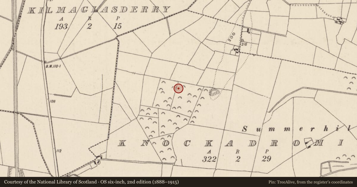 Ordnance Survey six-inch map, 2nd edition (1888–1915) covering the location of Enclosure, Knockadromin, County Tipperary North, with a pin at the register's coordinates
