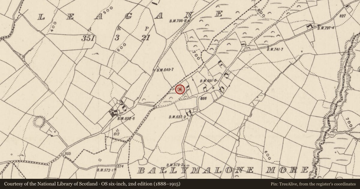 Ordnance Survey six-inch map, 2nd edition (1888–1915) covering the location of Barrow - mound barrow, Ballymalone More, Leagane, County Tipperary North, with a pin at the register's coordinates