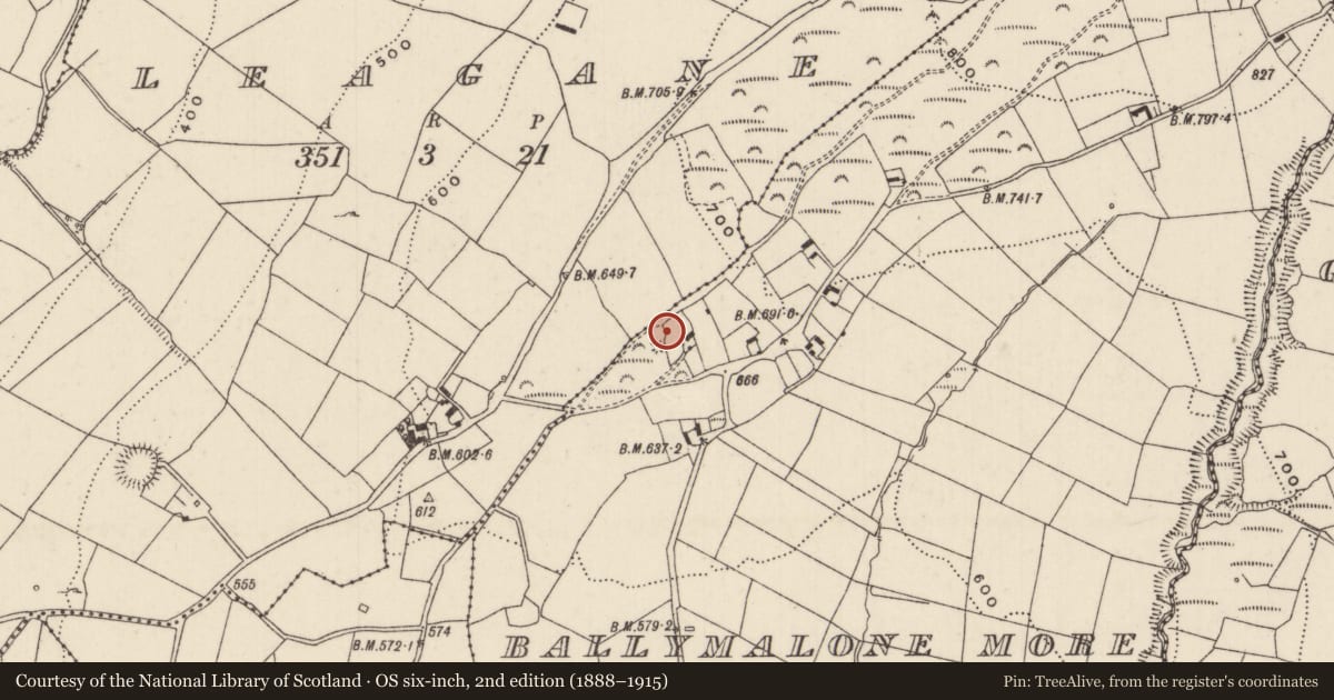 Ordnance Survey six-inch map, 2nd edition (1888–1915) covering the location of Megalithic tomb - unclassified, Ballymalone More, Leagane, County Tipperary North, with a pin at the register's coordinates