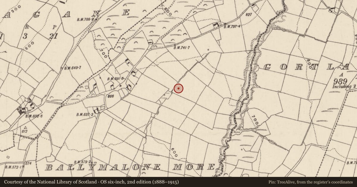 Ordnance Survey six-inch map, 2nd edition (1888–1915) covering the location of Standing stone, Ballymalone More, County Tipperary North, with a pin at the register's coordinates