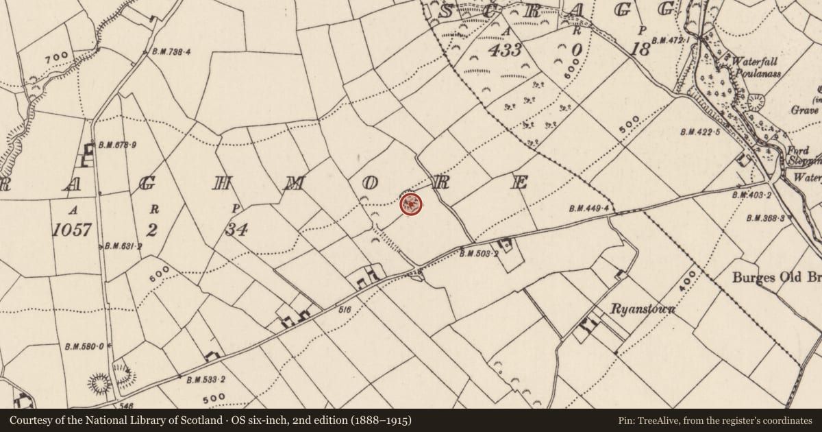 Ordnance Survey six-inch map, 2nd edition (1888–1915) covering the location of Ringfort - rath, Curraghmore (Kilmastulla Par.), County Tipperary North, with a pin at the register's coordinates