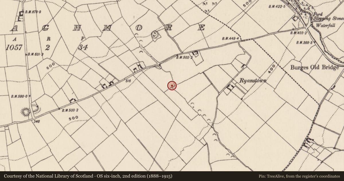 Ordnance Survey six-inch map, 2nd edition (1888–1915) covering the location of Fulacht fia, Curraghmore (Kilmastulla Par.), County Tipperary North, with a pin at the register's coordinates