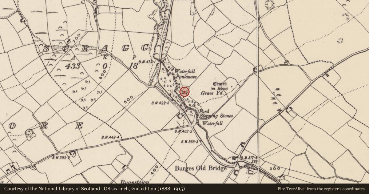Ordnance Survey six-inch map, 2nd edition (1888–1915) covering the location of Castle - motte, Burgesbeg, County Tipperary North, with a pin at the register's coordinates