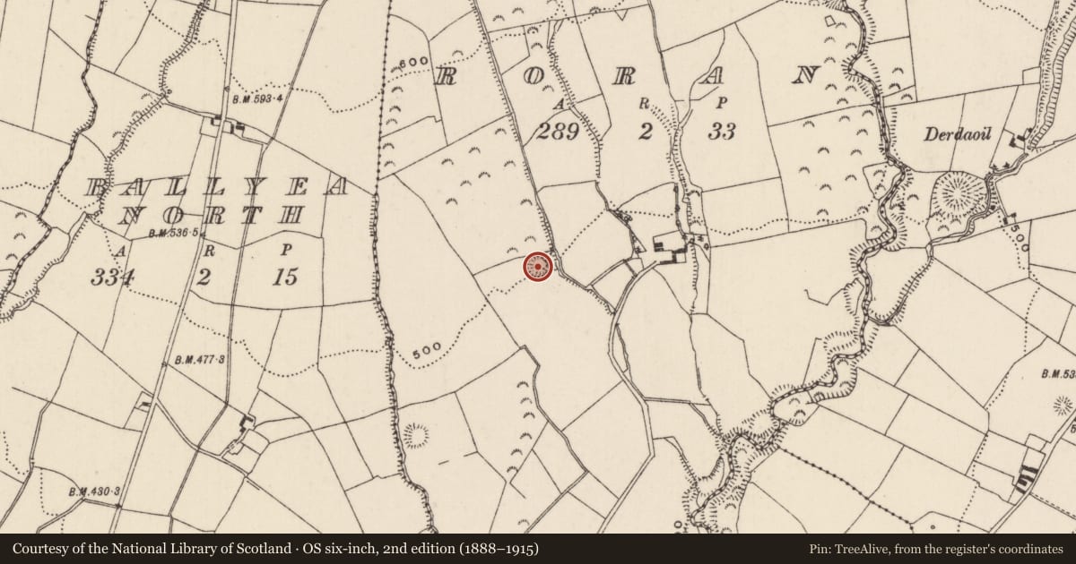 Ordnance Survey six-inch map, 2nd edition (1888–1915) covering the location of Enclosure, Roran (Templeachally Par.), County Tipperary North, with a pin at the register's coordinates