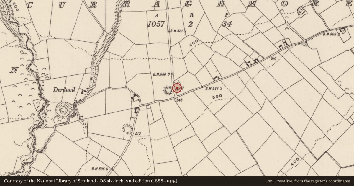 Ordnance Survey six-inch map, 2nd edition (1888–1915) covering the location of Ringfort - rath, Curraghmore (Kilmastulla Par.), County Tipperary North, with a pin at the register's coordinates