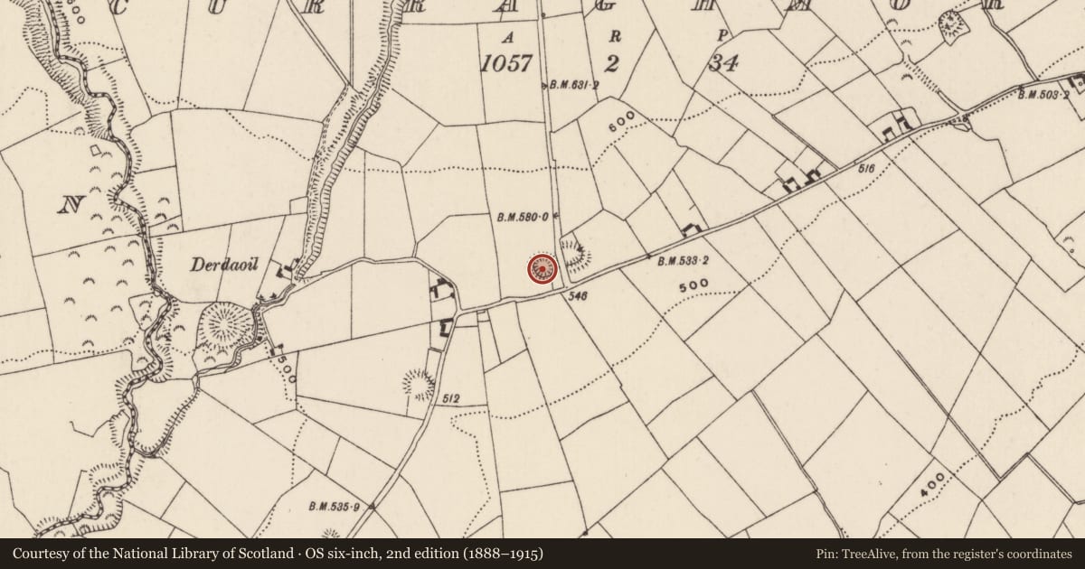 Ordnance Survey six-inch map, 2nd edition (1888–1915) covering the location of Ringfort - rath, Curraghmore (Kilmastulla Par.), County Tipperary North, with a pin at the register's coordinates