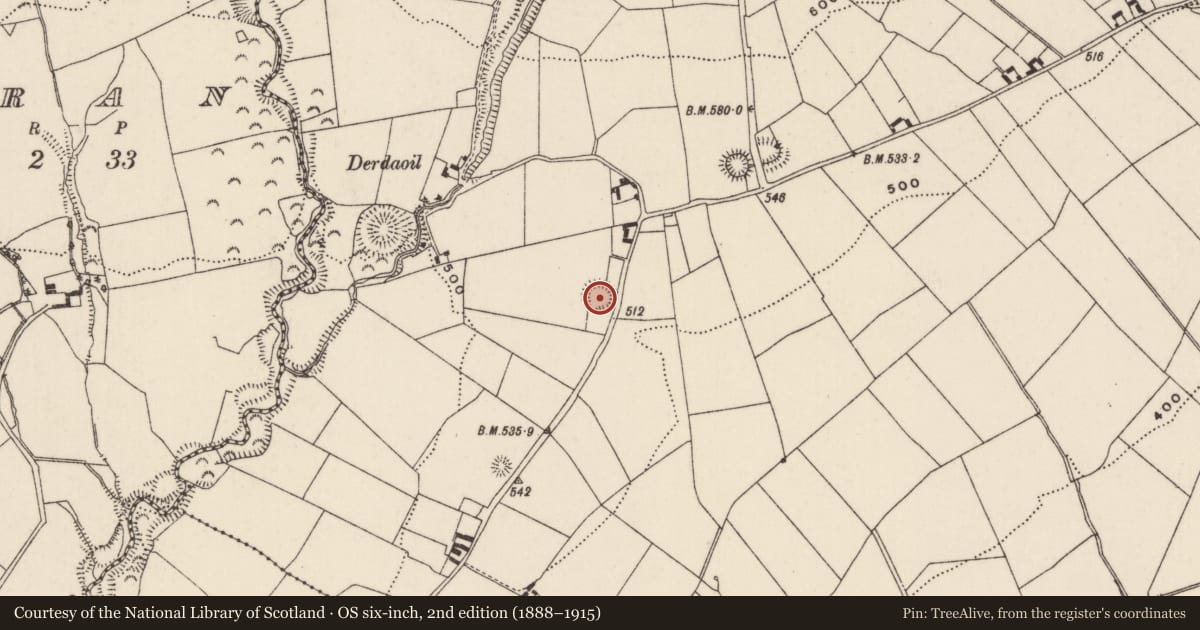 Ordnance Survey six-inch map, 2nd edition (1888–1915) covering the location of Ringfort - rath, Curraghmore (Kilmastulla Par.), County Tipperary North, with a pin at the register's coordinates