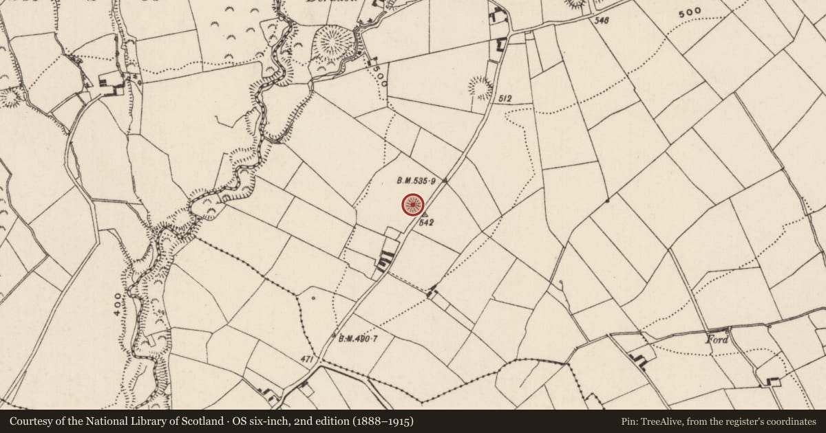 Ordnance Survey six-inch map, 2nd edition (1888–1915) covering the location of Ringfort - rath, Curraghmore (Kilmastulla Par.), County Tipperary North, with a pin at the register's coordinates