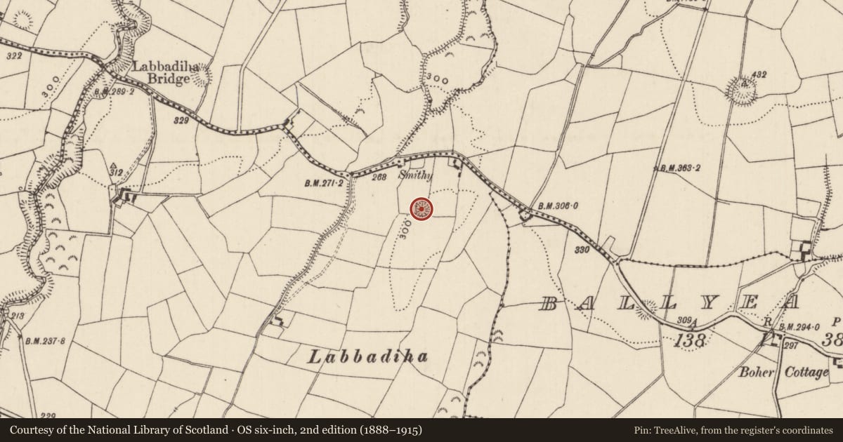 Ordnance Survey six-inch map, 2nd edition (1888–1915) covering the location of Ringfort - rath, Inchadrinagh (Templeachally Par.), County Tipperary North, with a pin at the register's coordinates