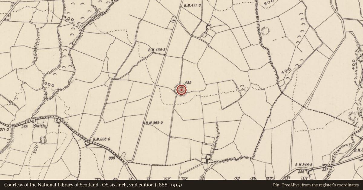 Ordnance Survey six-inch map, 2nd edition (1888–1915) covering the location of Ringfort - rath, Ballyea North, County Tipperary North, with a pin at the register's coordinates