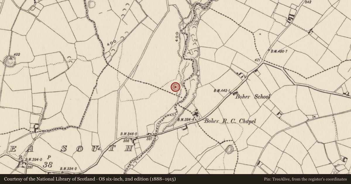 Ordnance Survey six-inch map, 2nd edition (1888–1915) covering the location of Cliff-edge fort, Roran (Templeachally Par.), County Tipperary North, with a pin at the register's coordinates