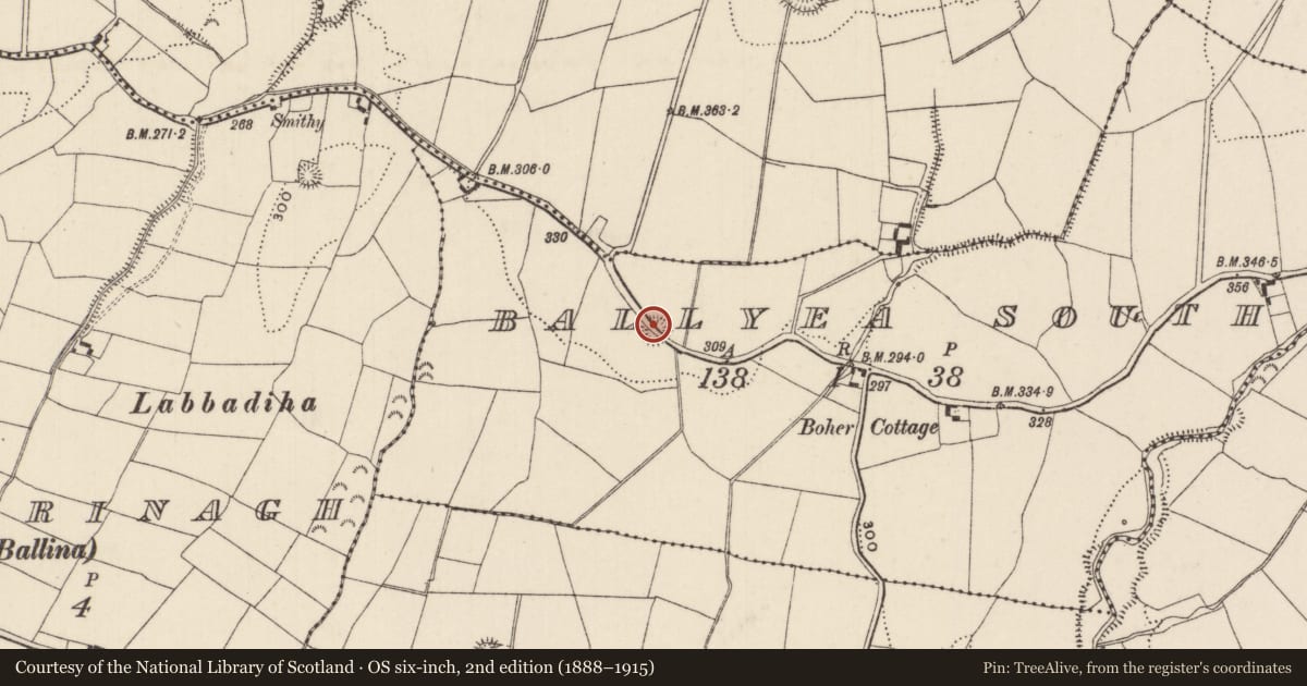 Ordnance Survey six-inch map, 2nd edition (1888–1915) covering the location of Ringfort - rath, Ballyea South, County Tipperary North, with a pin at the register's coordinates