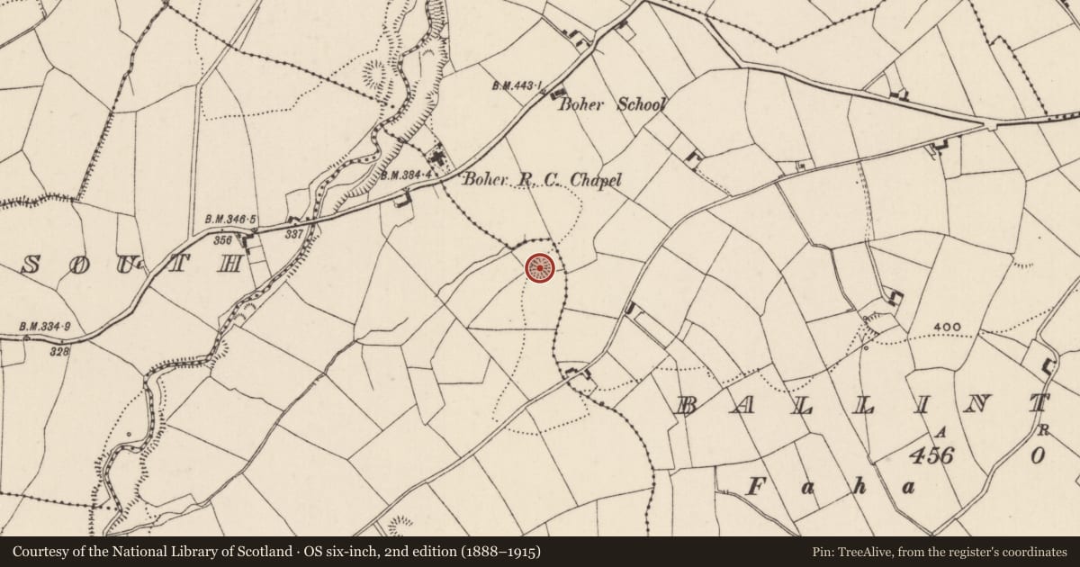 Ordnance Survey six-inch map, 2nd edition (1888–1915) covering the location of Ringfort - rath, Boher, County Tipperary North, with a pin at the register's coordinates