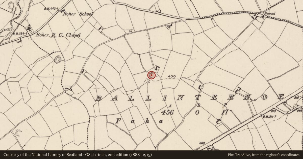 Ordnance Survey six-inch map, 2nd edition (1888–1915) covering the location of Enclosure, Ballinteenoe, County Tipperary North, with a pin at the register's coordinates