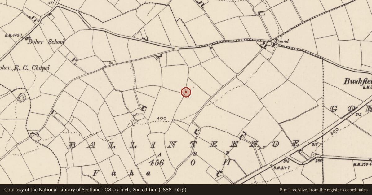 Ordnance Survey six-inch map, 2nd edition (1888–1915) covering the location of Earthwork, Ballinteenoe, County Tipperary North, with a pin at the register's coordinates