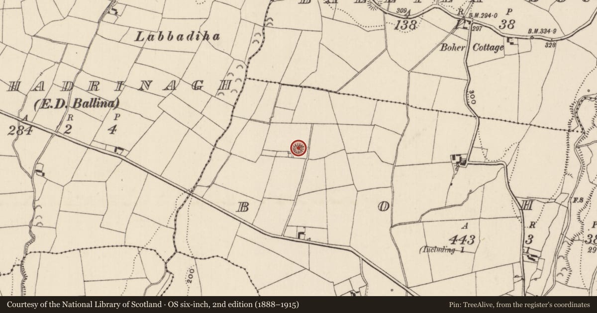 Ordnance Survey six-inch map, 2nd edition (1888–1915) covering the location of Ringfort - rath, Boher, County Tipperary North, with a pin at the register's coordinates