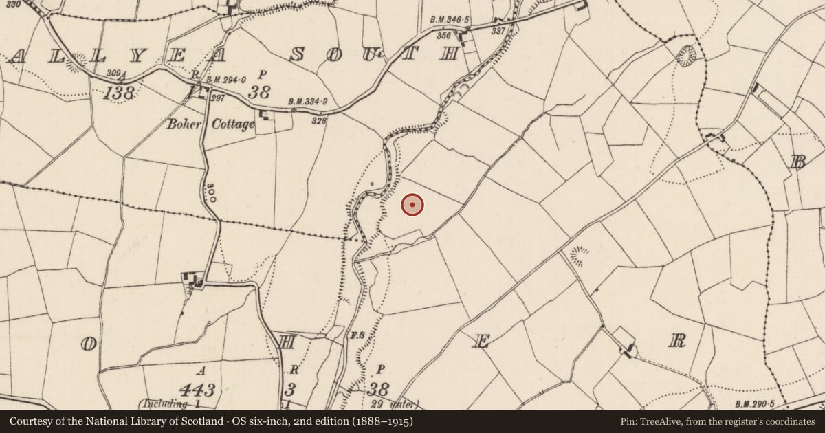Ordnance Survey six-inch map, 2nd edition (1888–1915) covering the location of Enclosure, Boher, County Tipperary North, with a pin at the register's coordinates