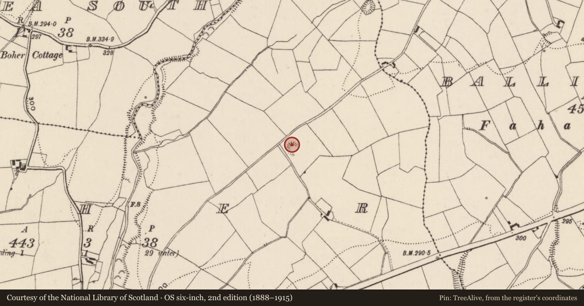 Ordnance Survey six-inch map, 2nd edition (1888–1915) covering the location of Ringfort - rath, Boher, County Tipperary North, with a pin at the register's coordinates