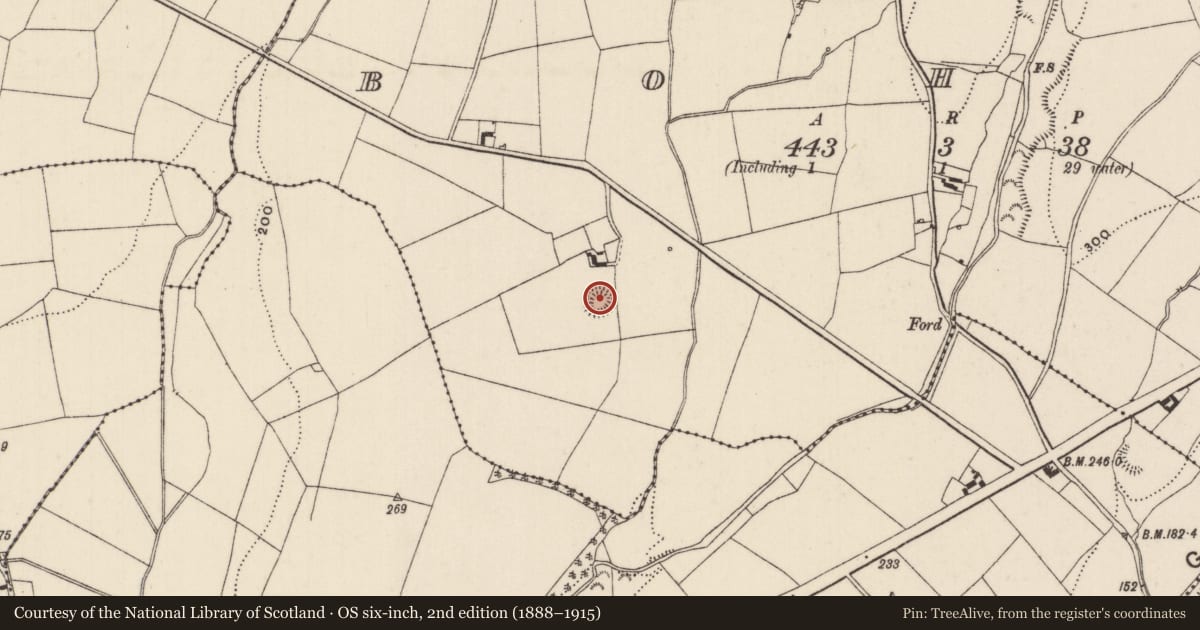 Ordnance Survey six-inch map, 2nd edition (1888–1915) covering the location of Ringfort - rath, Boher, County Tipperary North, with a pin at the register's coordinates
