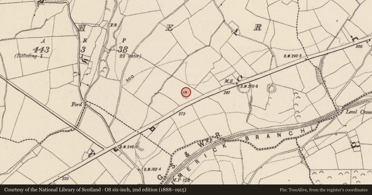 Ordnance Survey six-inch map, 2nd edition (1888–1915) covering the location of Ringfort - rath, Boher, County Tipperary North, with a pin at the register's coordinates