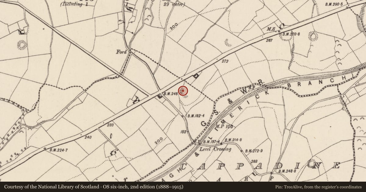 Ordnance Survey six-inch map, 2nd edition (1888–1915) covering the location of Enclosure, Kilmastulla, County Tipperary North, with a pin at the register's coordinates
