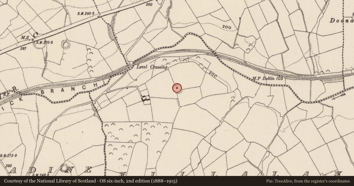 Ordnance Survey six-inch map, 2nd edition (1888–1915) covering the location of Ringfort - rath, Killalane, County Tipperary North, with a pin at the register's coordinates